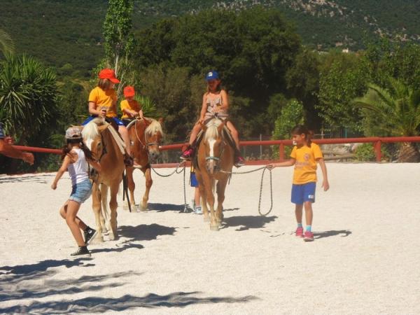 Ιππικό Όμιλο στη Σάμη επισκέφθηκαν τα παιδιά του camp ΑΣΚ – ΝΟΚΙ