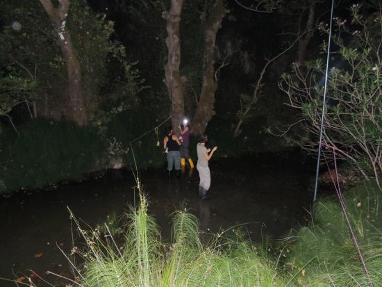 Παρακολούθηση και καταγραφή νυχτερίδων από τον Φορέα Διαχείρισης Αίνου (εικόνες)
