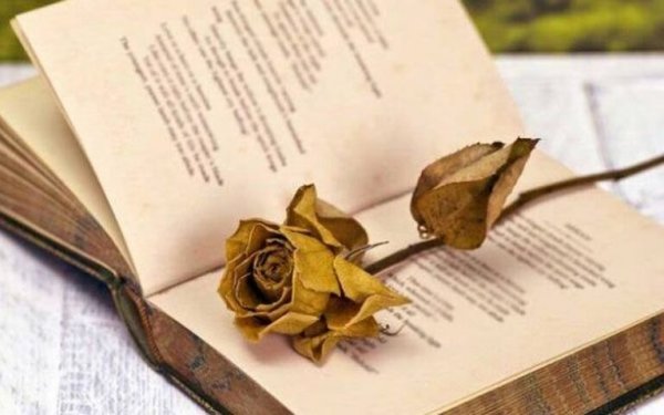 Διαγωνισμός Ποίησης από τον Πολιτιστικός Σύλλογος "Μάρκο Πόλο" Κατελειού - Μαρκοπούλου