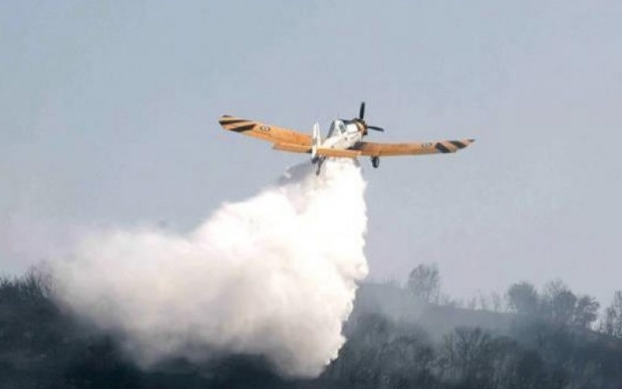 Υπό ελεγχο τέθηκε η πυρκαγιά στους Πετανούς