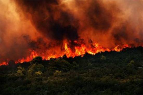 Μισό εκατομμύριο στρέμματα κάηκαν φέτος στην Ελλάδα