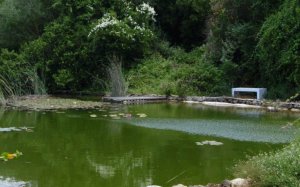 Βοτανικός Κήπος Κεφαλονιάς: Ανανεωμένα ωράρια λειτουργίας για το Καλοκαίρι 2022