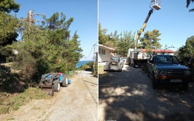 Κλάδεμα επικίνδυνων δέντρων στο νηπιαγωγείο Πόρου (εικόνες)