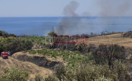 Υπό μερικό έλεγχο η πυρκαγιά στα Κλείσματα (ανανεωμένο)