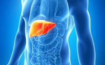 Πώς πρέπει να αποτοξινώνετε το συκώτι σας