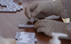 Κορονοϊός: 519 νέα κρούσματα σήμερα στην Ελλάδα - Κανένα στην Κεφαλονιά