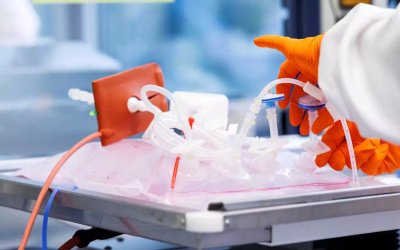 Εξωσωματική γονιμοποίηση: 25 άδειες χορηγήθηκαν σε γυναίκες από 52 έως 54 ετών