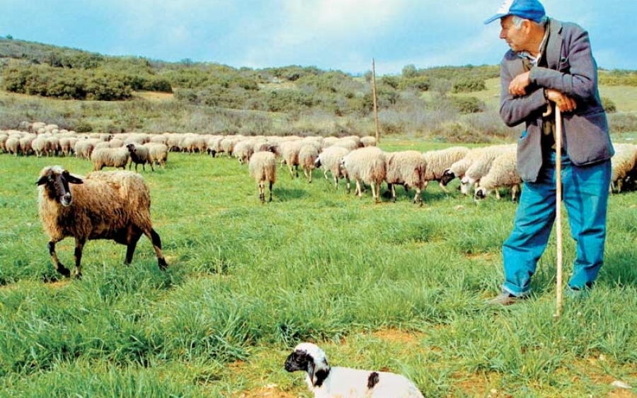 Παραλαβή της κατάστασης κατανομής βοσκήσιμων γαιών