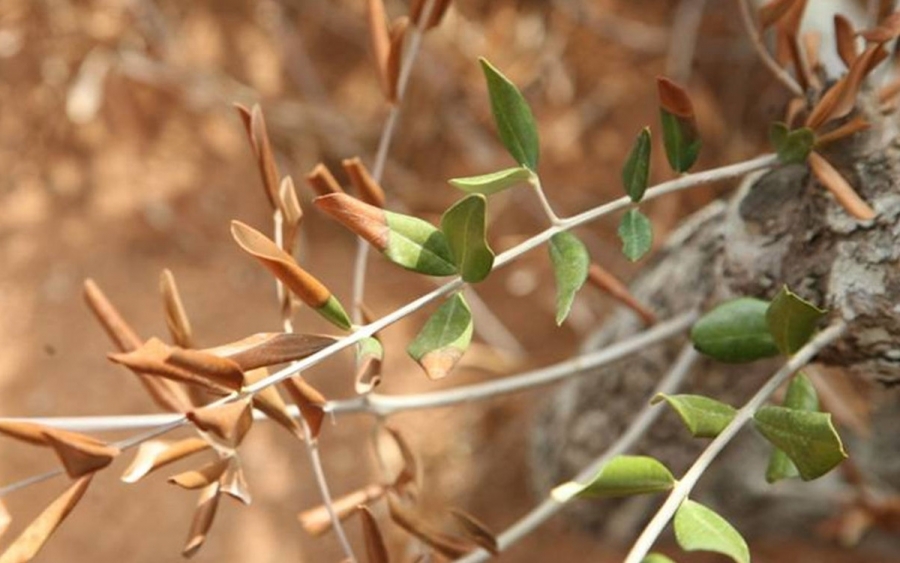 Ε.Α.Σ.: Πολύ άσχημα μαντάτα