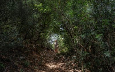 Γιατί να επισκεφθείτε την Κεφαλονιά τον Μάιο;