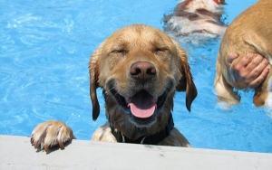 Έρχεται νέο «κύμα» καύσωνα από αύριο