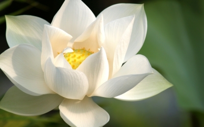 Συλλυπητήρια για την απώλεια της Διονυσίας Πουλάκη - Κατεβάτη