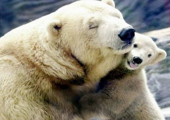 H μητρότητα μέσα απο ένα υπέροχο βίντεο!