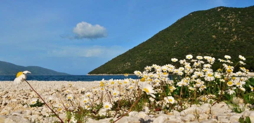 Μύρισε άνοιξη, μέχρι 20 βαθμούς Κελσίου η θερμοκρασία σήμερα