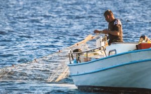 Στήριξη ΠΑΣΟΚ Κεφαλονιάς στο ψήφισμα Αλιέων για τη Μελέτη του Θαλάσσιου Πάρκου Ιονίου