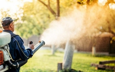 Πρόγραμμα καταπολέμησης κουνουπιών σε Κεφαλονιά και Ιθάκη - 5ος κύκλος