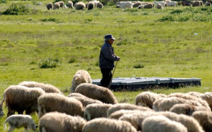 Ε.Α.Σ.: Λύσεις για την ΑγροΚτηνοτροφία