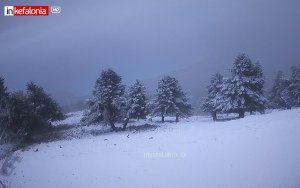 Στα λευκά ντύθηκε ο Αίνος – Εικόνες χειμωνιάτικης ομορφιάς!