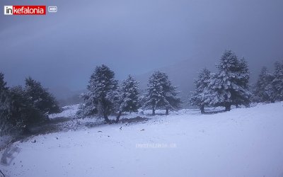 Στα λευκά ντύθηκε ο Αίνος – Εικόνες χειμωνιάτικης ομορφιάς!