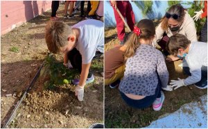 "Πρασίνισε" το 2o Δημοτικό σχολείο Ληξουρίου! (εικόνες)