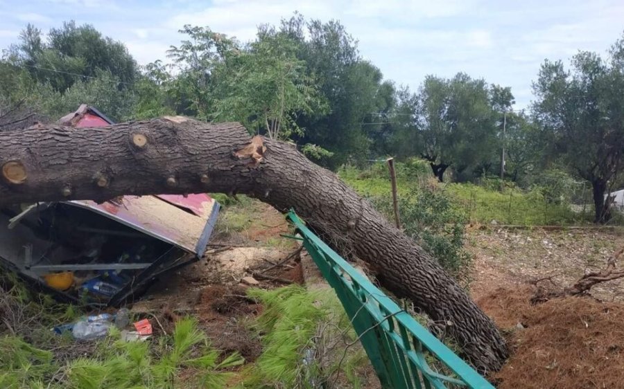 Υπογραφή προγραμματικής σύμβασης Δήμου Σάμης και Εθνικού Καποδιστριακού Πανεπιστήμιου Αθηνών