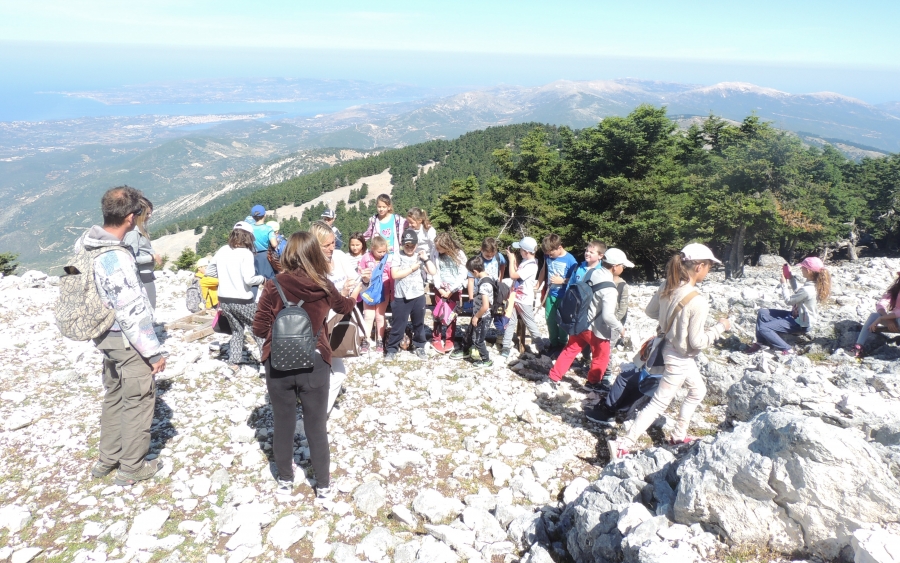 Ο Φορέας Αίνου γιόρτασε την Παγκόσμια Ημέρα Περιβάλλοντος με το Δημοτικό Σχολείο Βλαχάτων