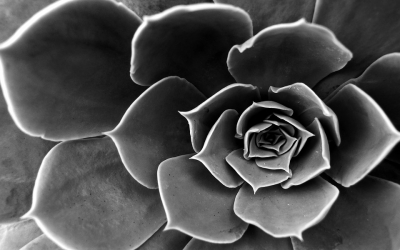 «Έφυγε» από τη ζωή ο Μανώλης Ζαμπέλης