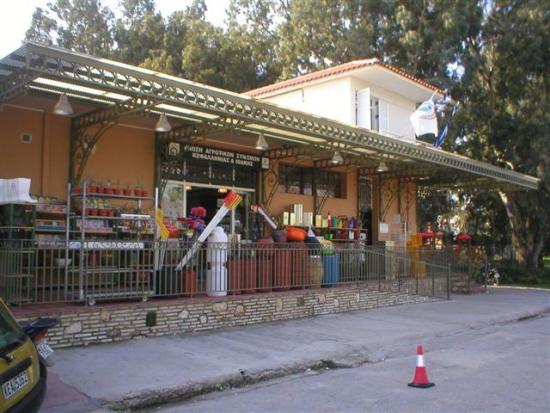 Γιορτάζοντας την Διεθνή Ημέρα Συνεταιρισμών