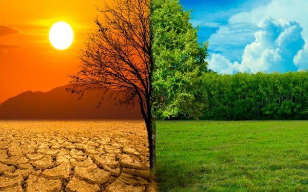 Μήνυμα του ΙΚΙ με αφορμή την παγκόσμια σύνοδο για την κλιματική αλλαγή