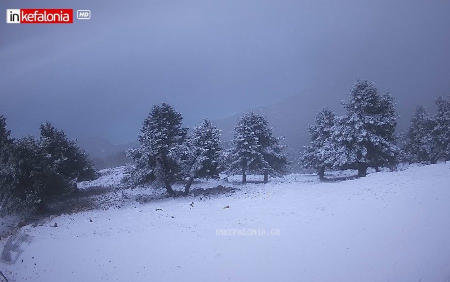 Μάρτιος… με χιόνια! Ο Αίνος ντύθηκε ξανά στα λευκά