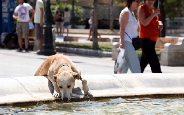 Καιρός: Έρχεται καύσωνας, ποια θα είναι η πιο δύσκολη μέρα