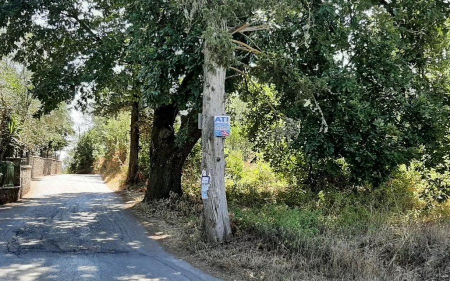 Κτήμα Καποδίστρια: Το «φιλέτο» των 165 στρεμμάτων στην Κέρκυρα που βγαίνει στο σφυρί