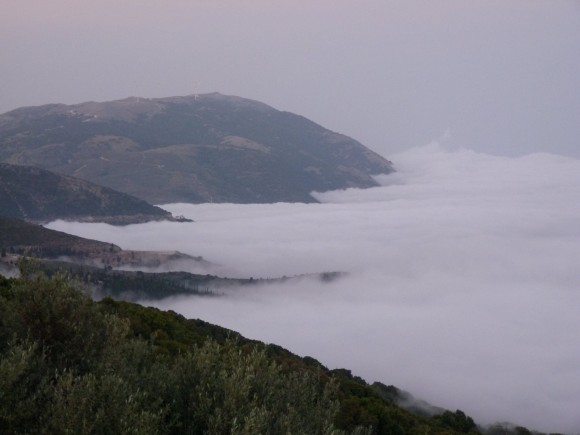 Μυρτός & Άσσος : "κρυφτηκαν" από την πρωινή δροσιά- Εντυπωσιακές εικόνες