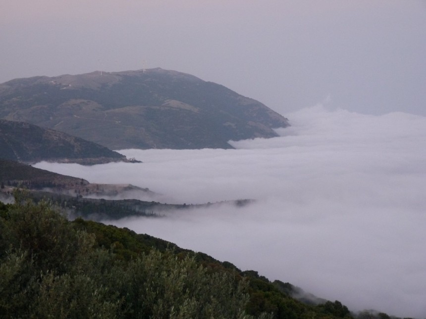 Μυρτός & Άσσος : "κρυφτηκαν" από την πρωινή δροσιά- Εντυπωσιακές εικόνες