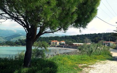 Κυκλοφοριακές ρυθμίσεις στον Γύρο Λάσσης το Σαββατοκύριακο λόγω εργασιών της ΔΕΔΔΗΕ