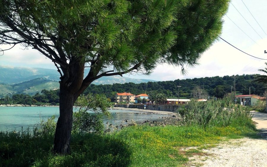 Κυκλοφοριακές ρυθμίσεις στον Γύρο Λάσσης το Σαββατοκύριακο λόγω εργασιών της ΔΕΔΔΗΕ