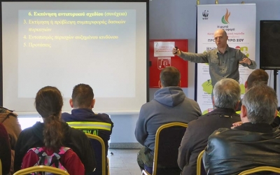 Δασικές πυρκαγιές στην Αχαΐα και την Κεφαλονιά: Αίτια & Πρόληψη