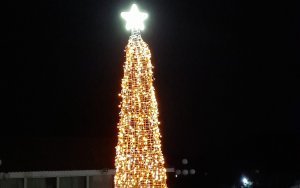 Βαλσαμάτα: Άναψε το Χριστουγεννιάτικο δέντρο του συλλόγου &quot;ΒΑΛΣΑΜΟΣ&quot;