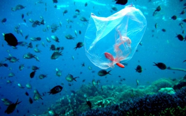 Απόψε: Aνοικτή συνάντηση διαλόγου με τίτλο «Πλαστικός ωκεανός» στο Bee’s Knees