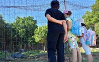 5ο Δημοτικό Αργοστολίου: Ημερήσια εκδρομή σε Σάμη - Αγία Ευφημία - Φισκάρδο