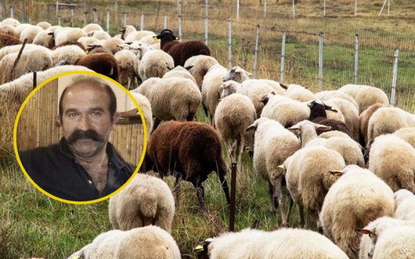 Παναγής Τουλάτος: «Είμαστε καμένοι – η κτηνοτροφία της Κεφαλονιάς έχει γονατίσει»