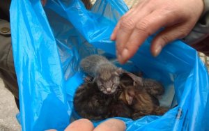 Η φωτογραφία δεν έχει σχέση με το περιστατικό