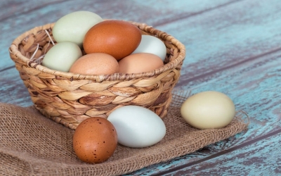 Τι πρέπει να προσέχουμε όταν αγοράζουμε αυγά σύμφωνα με τον ΕΦΕΤ