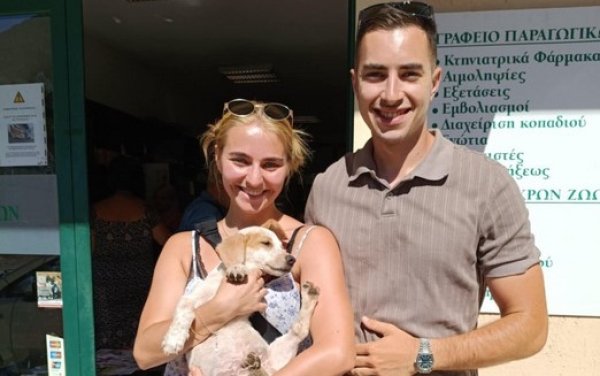 Σάμη: Ένα ακόμα κουτάβι βρήκε το παντοτινό του σπίτι – Μένει ακόμη ένα για υιοθεσία