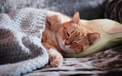Ώρες κοινής ησυχίας: Πότε αλλάζουν