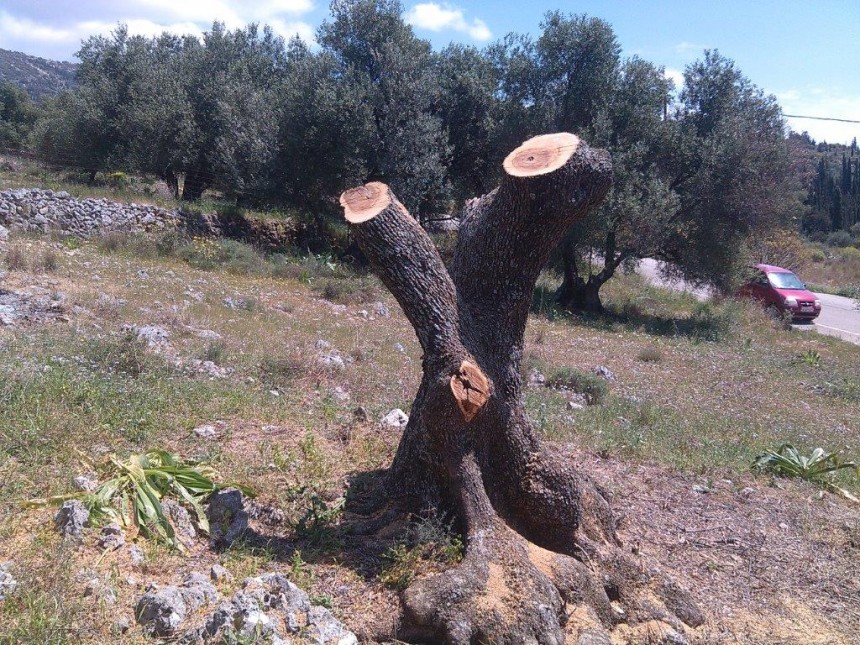 Επιστολή διαμαρτυρίας προς τον πρόεδρο Τ.Κ. Φαρακλάτων για καταπάτηση οικοπέδου