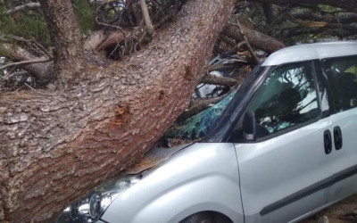 Η εικόνα δεν έχει σχέση με το συμβάν