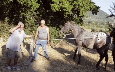 Στο αλώνι του Παναγή Φραγκιά (εικόνες)