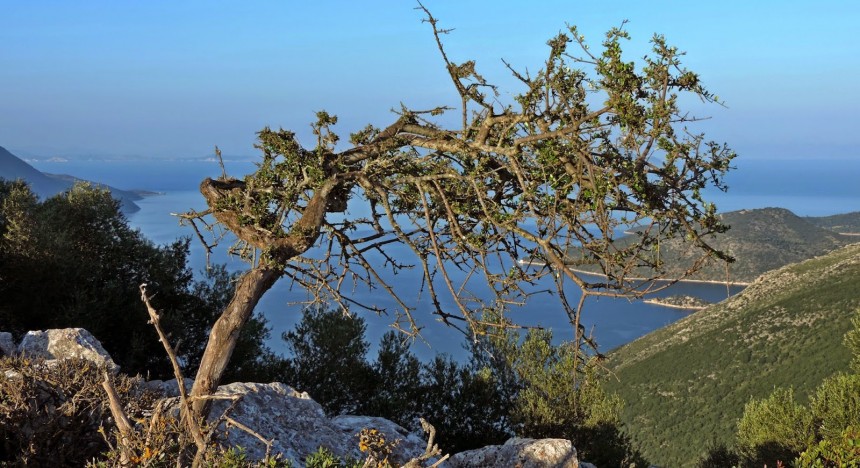 Συνάντηση για την ανάπτυξη του πεζοπορικού τουρισμού στην Ιθάκη