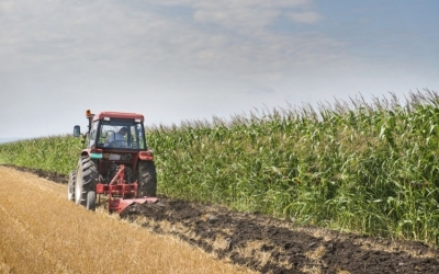 Παράταση στις προθεσμίες υποβολής των αιτήσεων για τα «Σχέδια Βελτίωσης»